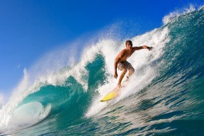 南非羚羊队的突破技巧：每一次突破都像打破防线的利刃，南非大羚羊主要分布哪里